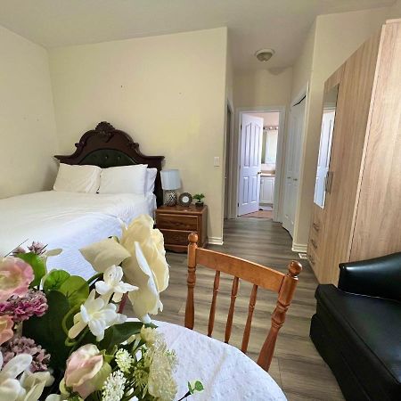 Main Suite كينفستون المظهر الخارجي الصورة